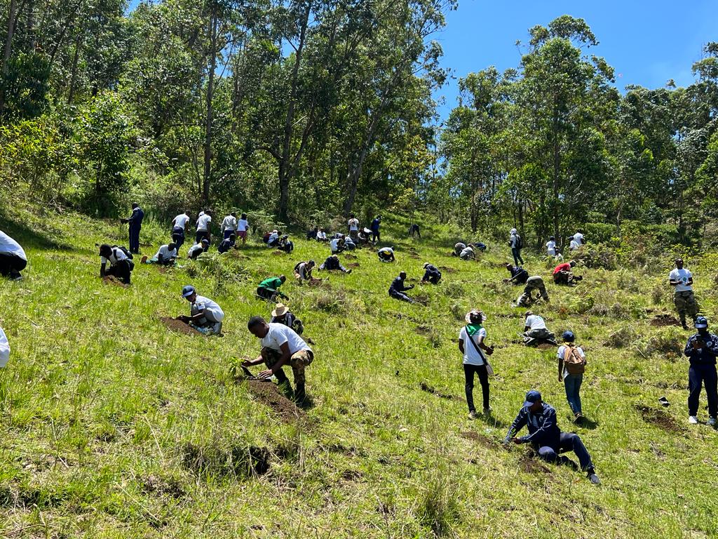 316322685 467328458820852 6587311998717460036 n