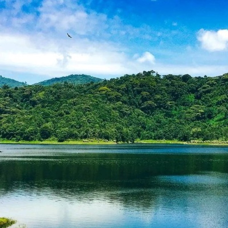 John Kabamba Image 1