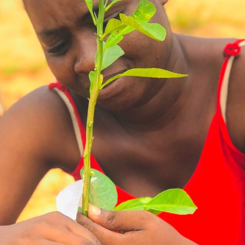 Oumou Traoré Image 1