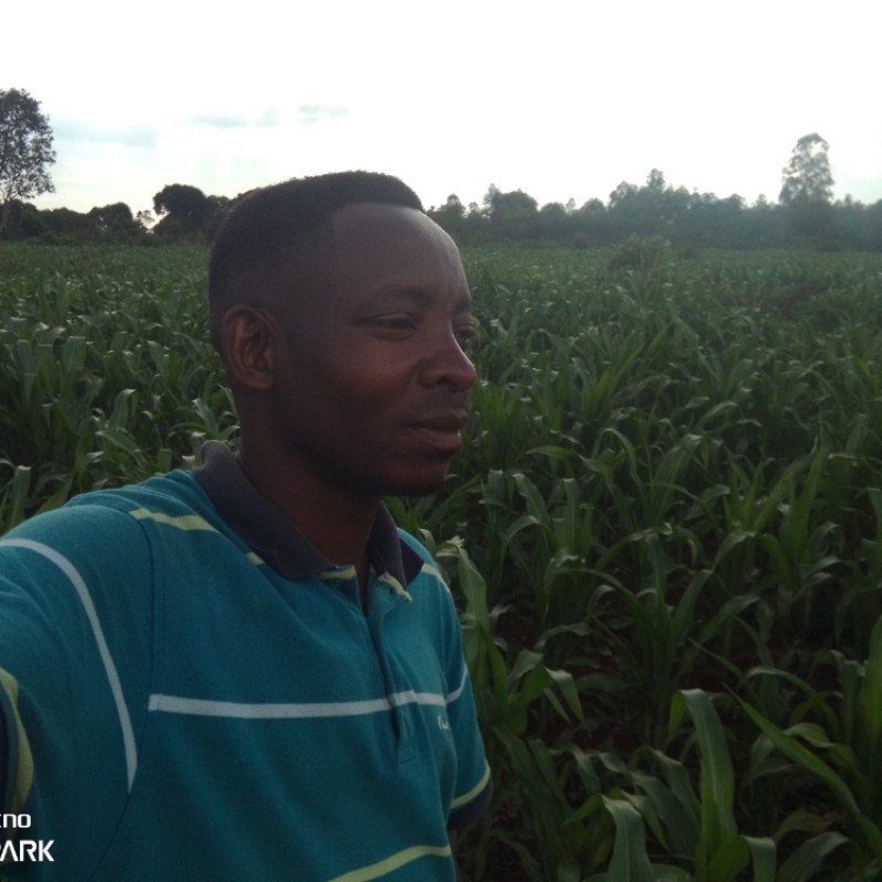 Bernard BIZIMANA Image 1