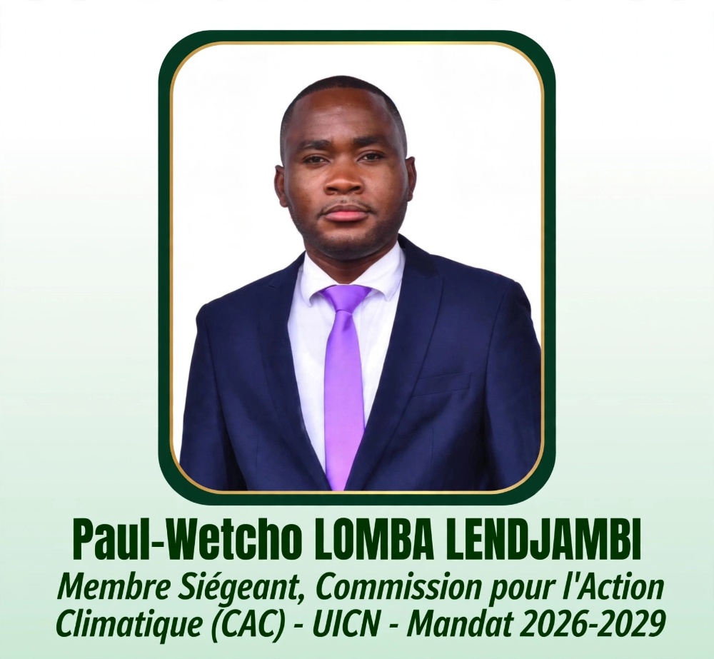 Paul-Wetcho LOMBA LENDJAMBI Image 1