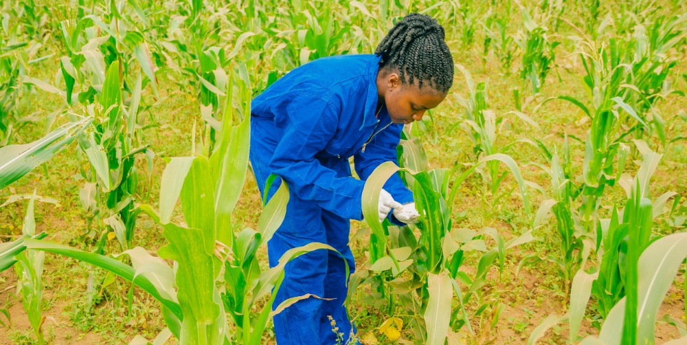 Innovation et développement durable : un pari réussi pour ... Image 1