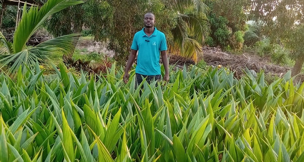 La jeunesse francophone se mobilise contre la fatalité ...