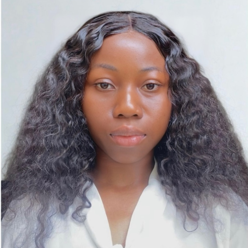 Dilane Aliko Image 1