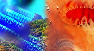 2 appels à projets pour la consolidation de l'Initiative « ... Image 1